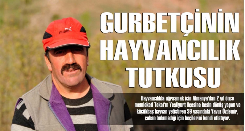 Gurbetçinin Hayvancılık Tutkusu