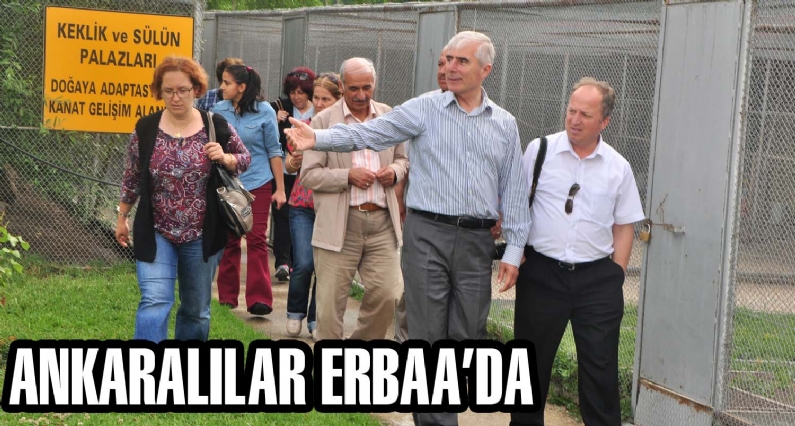 ANKARALILAR ERBAADA