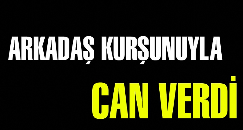 Diyarbakır`da, vatani görevini yapan Niksarlı Jandarma Komando, arkadaşının tüfeğinden çıkan kurşunla yaşamını yitirdi.