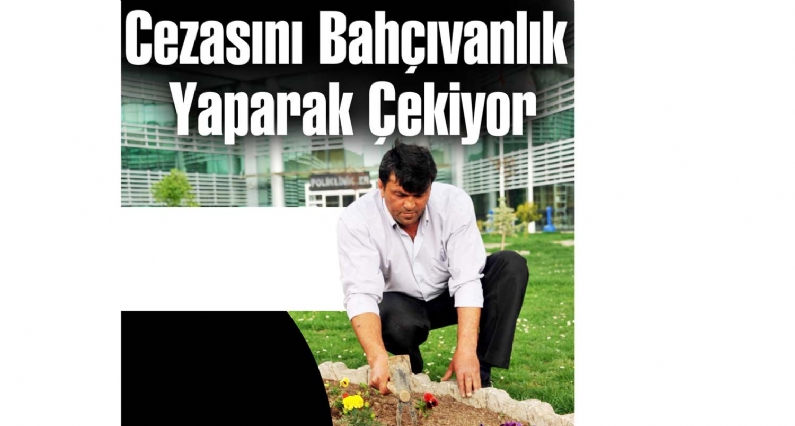 Cezasını Bahçıvanlık Yaparak Çekiyor