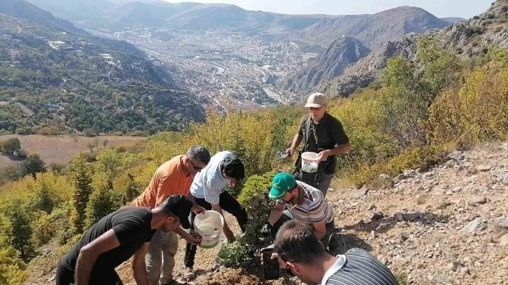 Amasyalı örnek aile 100 kilo meşe palamudu dikti
