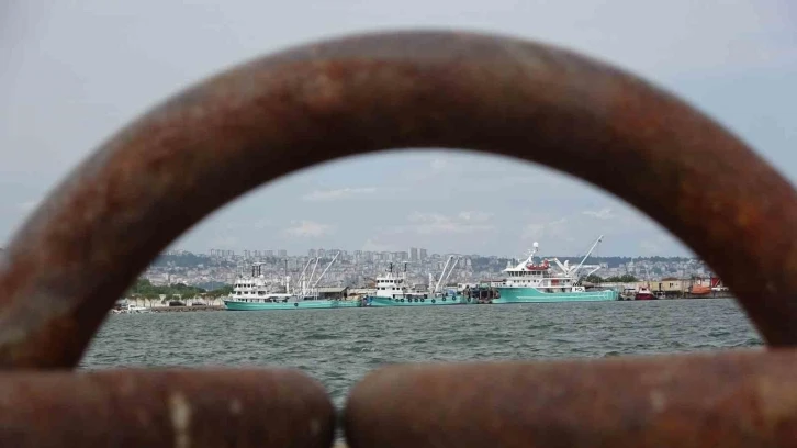 Balıkçıların ’hamsi kotası’ endişesi: "Altınla yarışacak"
