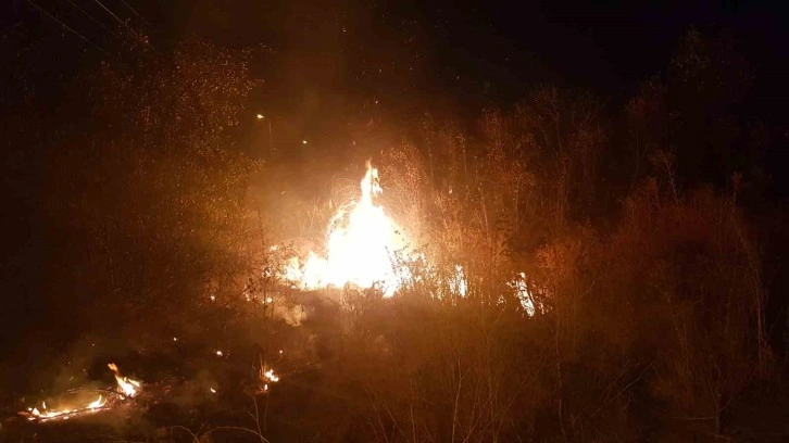 Boş arazide çıkan örtü yangını itfaiye tarafından söndürüldü