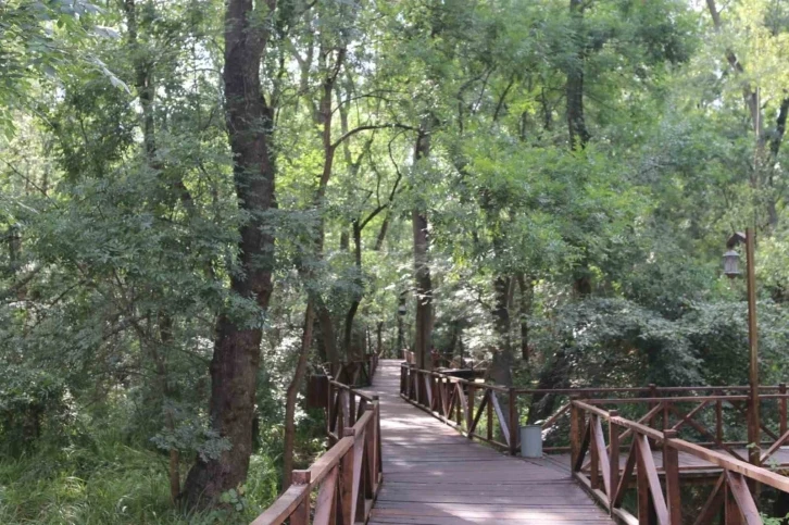 Çakırlar Korusu’na yeni çehre
