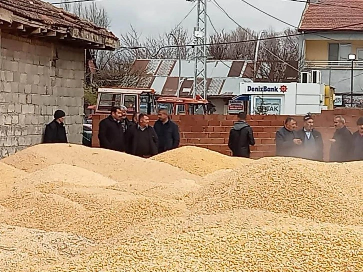 ÇAMLIBEL'DE MISIR ALIMI ÇİFTÇİNİN YÜZÜNÜ GÜLDÜRDÜ