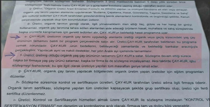 ÇAYKUR’dan 3. sürgün için kota açıklaması
