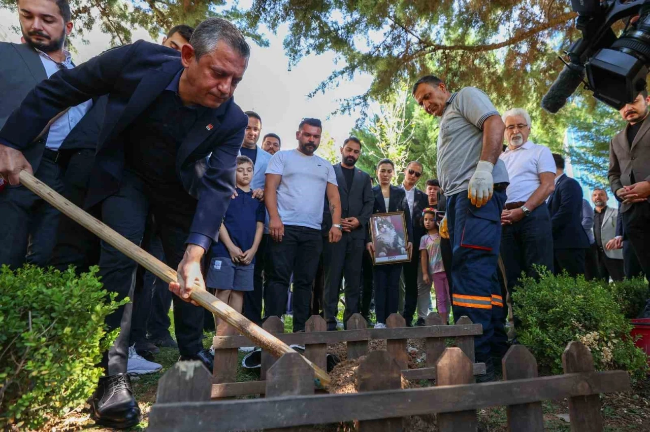 CHP’nin kedisi ’Şero’ Genel Merkez bahçesine defnedildi
