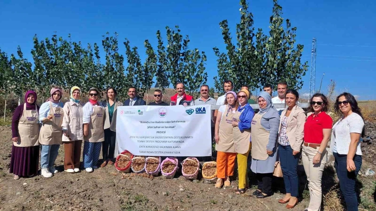 Çorum’da “BizimOra’lı kadınların şifalı safran ve sarımsak projesine OKA desteği
