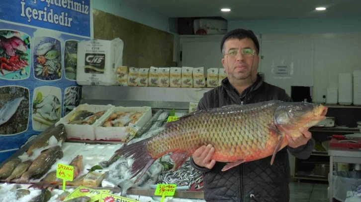 Denizi olmayan Kayseri’den balık ihracatı yapıyor
