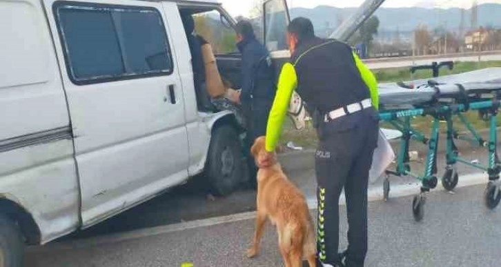 Direğe çarpan aracın içinde sıkışan sürücüyü köpeği yalnız bırakmadı