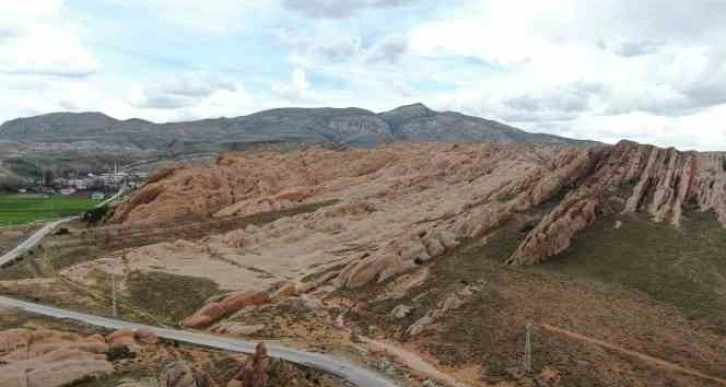 Dünyadaki Mars, dikilen ağaçlarla yeşerecek