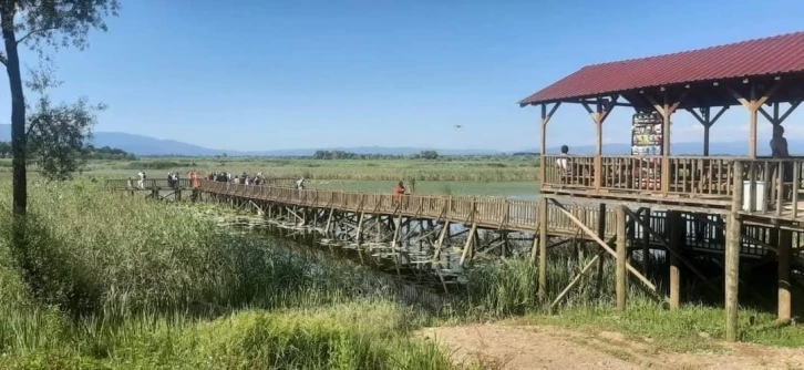 Düzce’nin tabiat parkları binlerce kişiyi ağırladı
