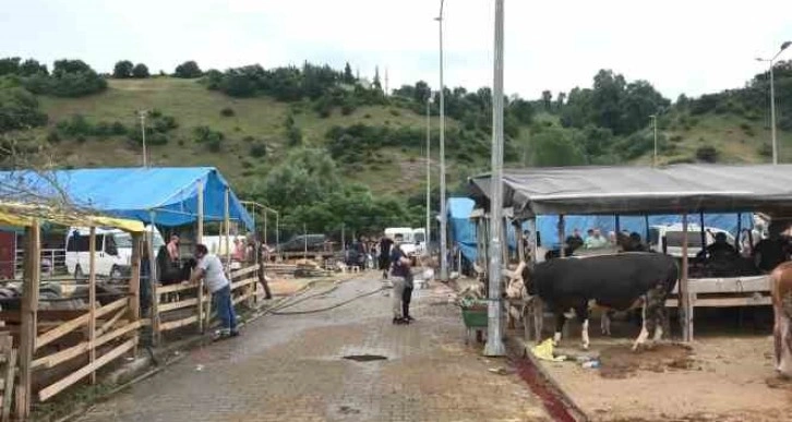 Elde kalan kurbanlıklar için besicilerin mesaisi devam ediyor