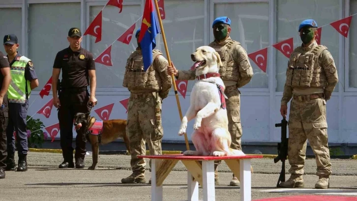 Giresun’da Jandarmadan nefes kesen gösteri
