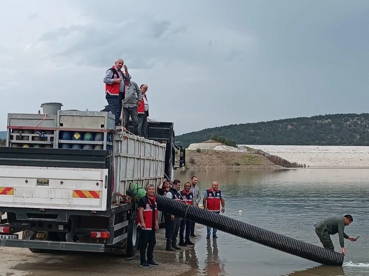 Kastamonu’da göletlere 1 milyon balık salındı