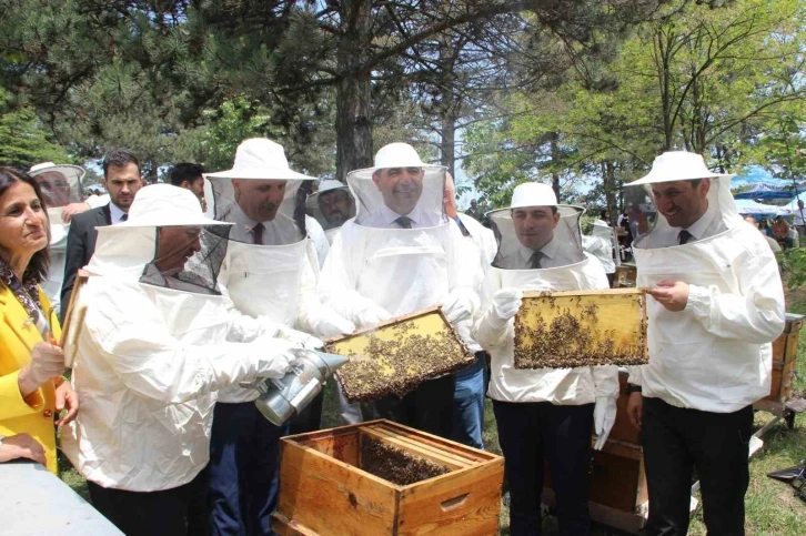 Kovanda arı, Yığılca’da hayat var
