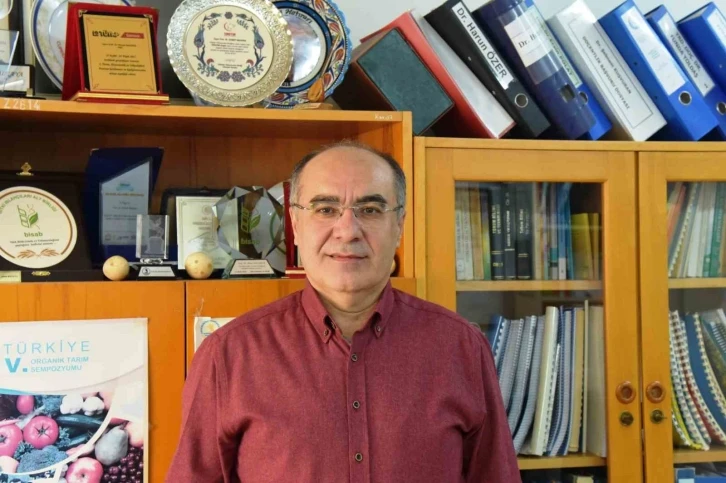 Profesör uyardı: “Değişen iklim şartları verimi düşüyor”
