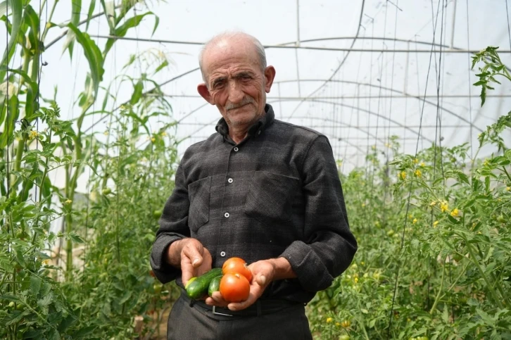 "Ata tohumu memleket meselesi" diyen 74 yaşındaki çiftçi ömrünü organik tarıma adadı
