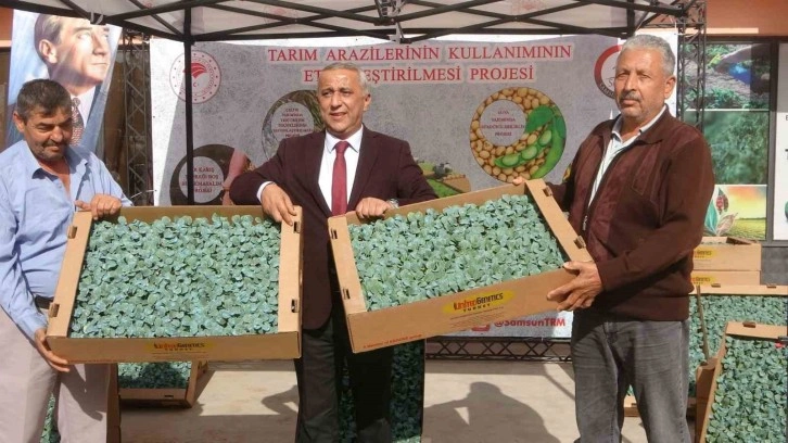 Samsun’da 34 üreticiye 650 bin brokoli fidesi dağıtıldı