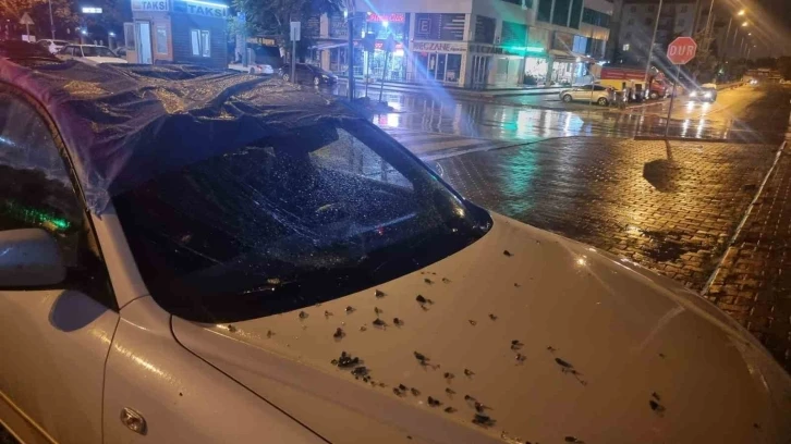Şiddetli rüzgardan düşen cam otomobile isabet etti
