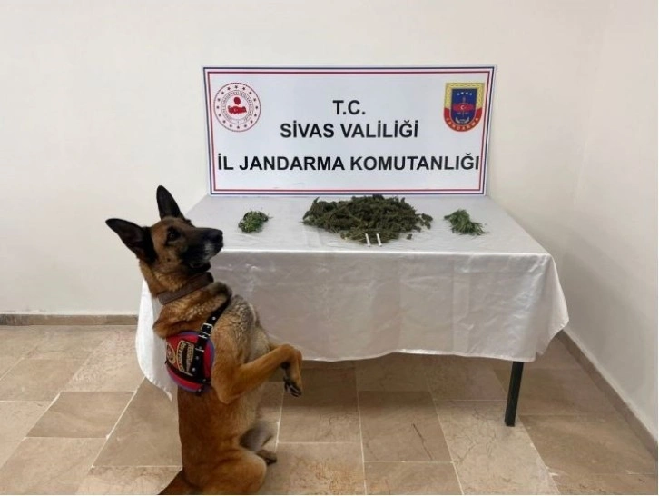 Sivas’ta 3 kilo esrar ele geçirildi