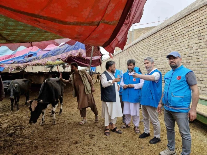 TDV, Afganistan’da 13 bin 300 hisse kurban eti dağıtacak
