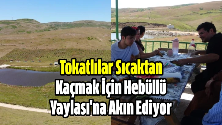 Tokatlılar sıcaktan kaçmak için Hebüllü Yaylası'na akın ediyor