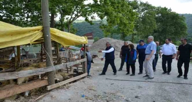 Yetkilerden kurban uyarısı: Cadde, sokak ve parkta kurban kesmek yasak