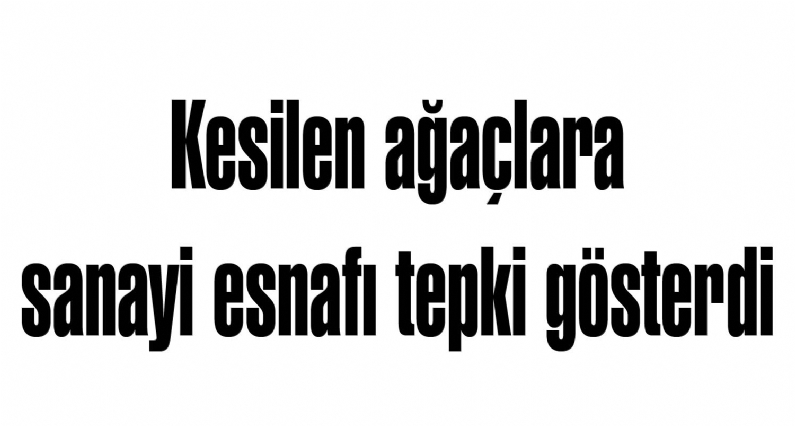 Tokat Küçük Sanayi Sitesi Yapı Kooperatifi tarafından, `Küçük Sanayicilerin Büyük Girişimi Projesi` kapsamında kesilen ağaçlara sanayi esnafı tepki gösterdi. 