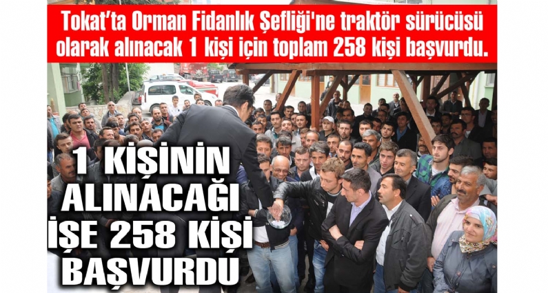 1 KİŞİNİN ALINACAĞI İŞE 258 KİŞİ BAŞVURDU 