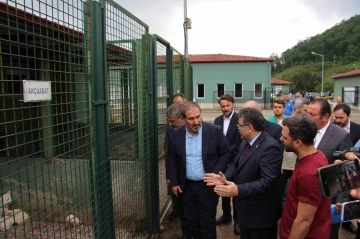 AK Parti Genel Başkan Yardımcısı Şen: “İt taparların ve it savarların aklıyla hiçbir şey yapılamaz”
