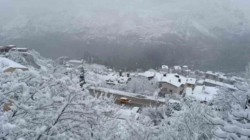 Artvin’de yoğun kar yağışı hayatı olumsuz etkiliyor
