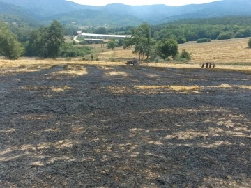 Balya yapılmayı bekleyen buğday sapları alev alev yandı
