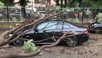 Başkentte fırtına sonucu bir aracın üzerine ağaç devrildi
