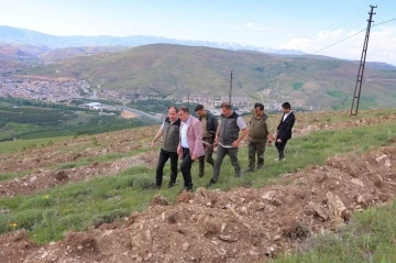 Bayburt’ta bin dekarlık alanda 300 bin fide toprakla buluşturulacak
