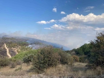 Bolu’da devam eden yangın Ankara istikametine yöneldi
