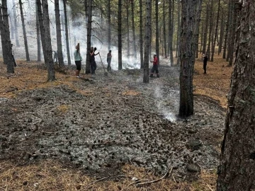 Çankırı’da yıldırımın düştüğü ormanda yangın çıktı
