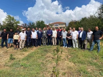 Çaycuma kaymakamı Aronya meyvesi ilk hasadını yaptı
