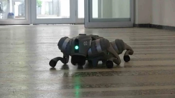 Deprem sonrası hasar tespiti artık yapay zeka destekli robotik köpeklerle yapılacak
