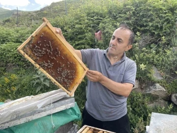 Dünyaca ünlü Anzer Balı’nın bu yıl kilogram satış fiyatı 4 bin TL oldu
