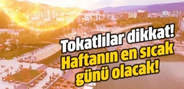 Geceleri uyutmuyor gündüzleri bunaltıyor! Tokat 40 derece!