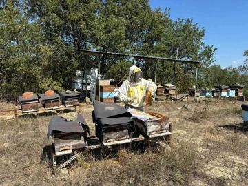 Hobi olarak başladı, kilosu 400 TL’den 500 kilo bal üretiyor
