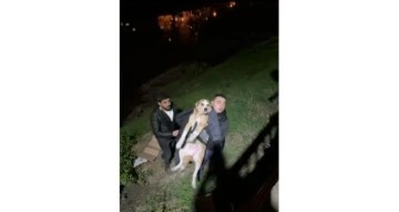 İftara giderken sokak köpeğinin hayatını kurtardı