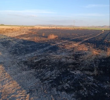 Karapınar’da buğday ekili tarla yandı
