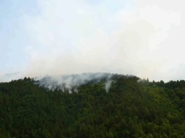 Kastamonu’da yıldırım sebebiyle çıkan orman yangına müdahale sürüyor
