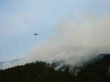 Kastamonu’daki orman yangına 18 saattir müdahale devam ediyor
