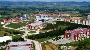 Kastamonu Üniversitesi, defne yaprağını analiz edecek
