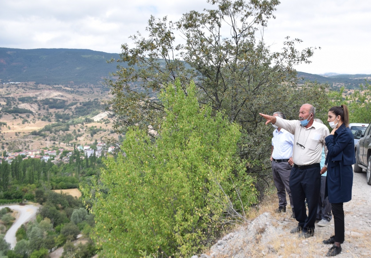 Kaymakam Yavuz Ceviz Bahçesi İçin Yer Tespiti Ziyaretleri Yaptı