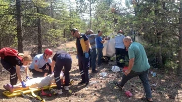 Kontrolden çıkan hafif ticari araç çam ağaçlarına çarparak devrildi: 5 yaralı
