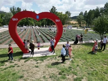 Lavanta bahçesi şehrin gözde mekanı oldu
